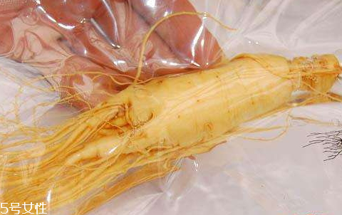 白參能泡酒嗎 功效與作用 白參能泡酒嗎 功效與作用