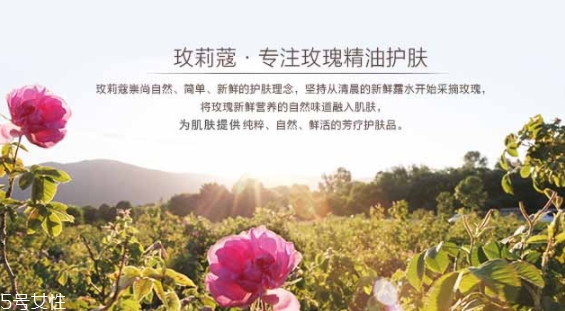 玫莉蔻護(hù)膚品怎么樣？主打玫瑰的護(hù)膚品牌