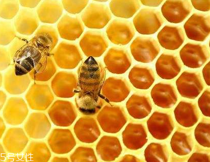 vitamin world天然蜂膠膠囊怎么樣？