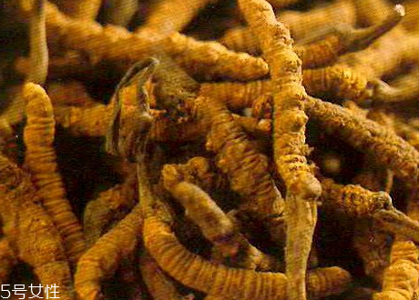 草參多少錢一斤 價(jià)格不貴 草參多少錢一斤 價(jià)格不貴