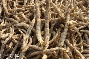 草參多少錢一斤 價(jià)格不貴 草參多少錢一斤 價(jià)格不貴