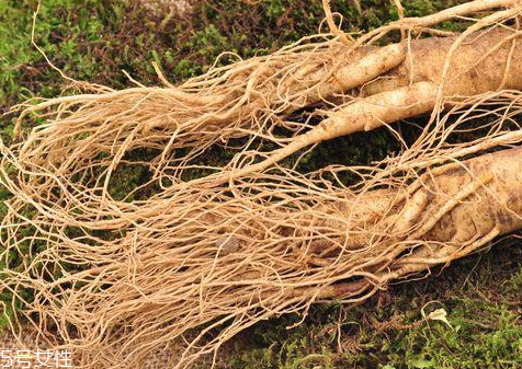 東北人參多少錢(qián)一斤 吃法及購(gòu)買(mǎi)技巧 東北人參多少錢(qián)一斤 吃法及購(gòu)買(mǎi)技巧