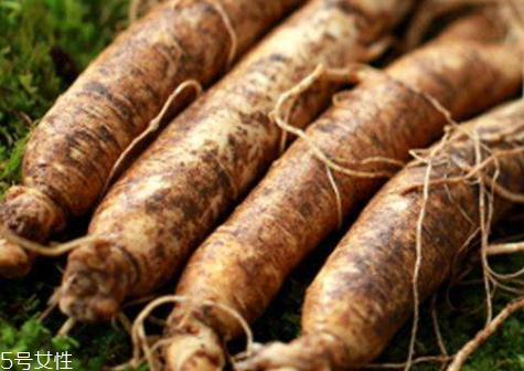 東北人參怎么保存 保存方法 東北人參怎么保存 保存方法