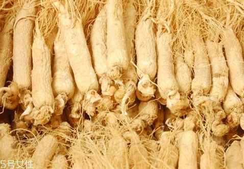 東北人參怎么保存 保存方法 東北人參怎么保存 保存方法