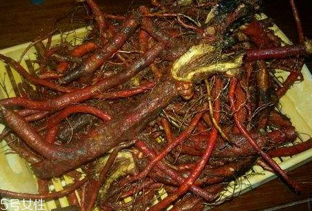 丹參什么時(shí)候挖 采收方法 丹參什么時(shí)候挖 采收方法