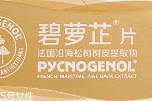 碧蘿芷到底好不好？帶你了解碧蘿芷