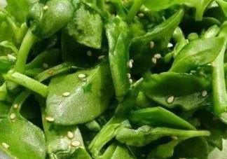 穿心蓮可以生吃嗎 建議最好不要生吃 穿心蓮可以生吃嗎 建議最好不要生吃