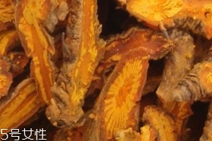 黃連可以治療濕疹嗎 黃連治療濕疹配方 黃連可以治療濕疹嗎 黃連治療濕疹配方