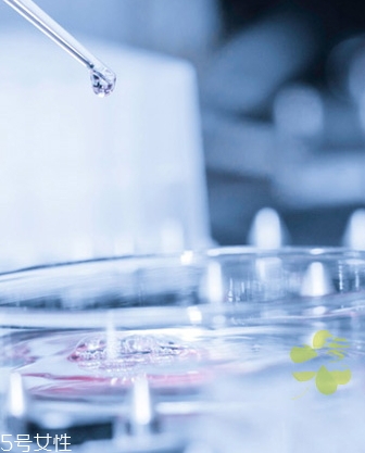 swissline絲維詩蘭和雅詩蘭黛哪個高檔 swissline絲維詩蘭和雅詩蘭黛哪個高檔