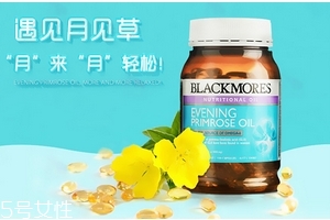 月見草油是激素嗎？不含激素成分