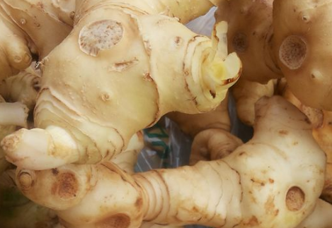 黃精不能和什么一起吃 搭配宜忌 黃精不能和什么一起吃 搭配宜忌