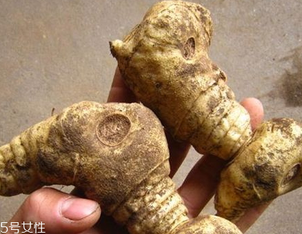 黃精多少錢一斤 黃精的大小和品質(zhì)決定 黃精多少錢一斤 黃精的大小和品質(zhì)決定