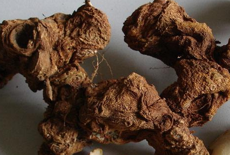 黃精可以治感冒嗎 黃精可以治感冒嗎