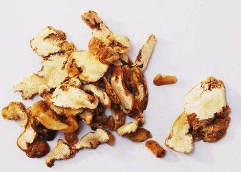 黃精是熱性還是涼性 黃精平性 黃精是熱性還是涼性 黃精平性