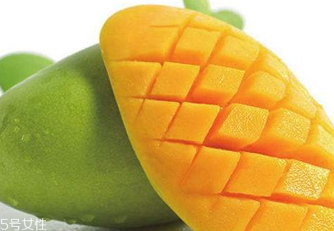 青芒什么季節(jié)成熟 實(shí)成熟期5到8月 青芒什么季節(jié)成熟 實(shí)成熟期5到8月