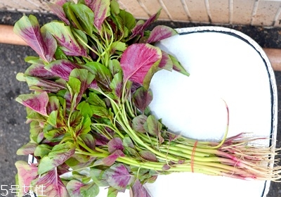 吃什么菜可以排毒 排毒最快最好的菜推薦 吃什么菜可以排毒 排毒最快最好的菜推薦