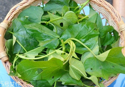 吃什么菜可以排毒 排毒最快最好的菜推薦 吃什么菜可以排毒 排毒最快最好的菜推薦