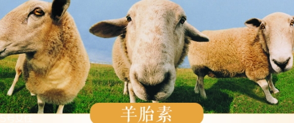 羊胎素和玻尿酸哪個好？