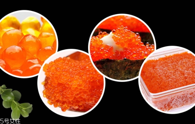 飛魚籽是什么魚的籽？壽司美味的秘訣