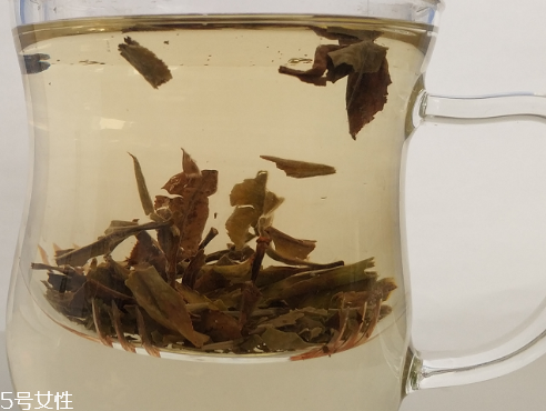 白牡丹茶多少錢一斤？180元左右