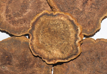 大黃可以治便秘嗎 大黃治便秘配方 大黃可以治便秘嗎 大黃治便秘配方