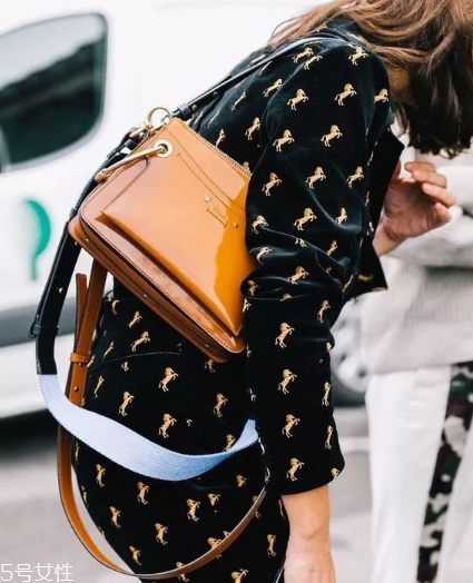 chloe roy包什么價格？chloe18年春夏新款包包