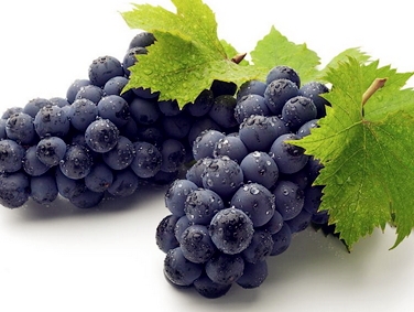 花青素對眼睛好嗎？保護視力從花青素開始