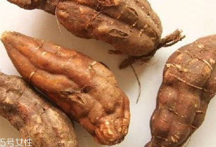 何首烏什么時(shí)候種植 3月上旬至4月上旬播種 何首烏什么時(shí)候種植 3月上旬至4月上旬播種