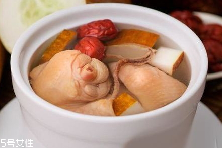 杜仲可以和什么煲湯 食譜推薦 杜仲可以和什么煲湯 食譜推薦