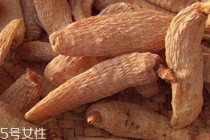 天麻那么硬怎么處理 軟化后切片即可 天麻那么硬怎么處理 軟化后切片即可