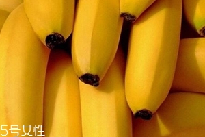 仙人蕉多少錢一斤？