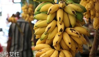 仙人蕉多少錢一斤？