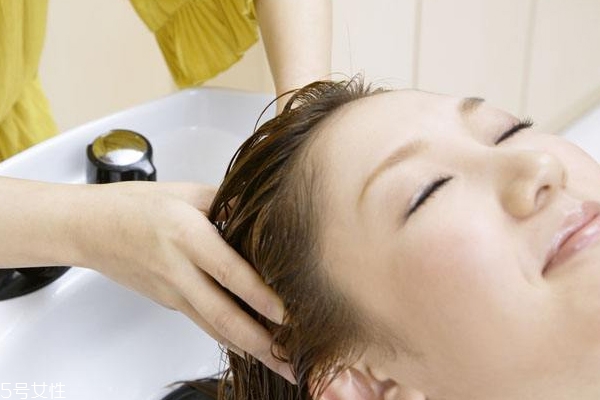 為什么天天洗頭還是油？洗發(fā)水不能直接抹頭頂