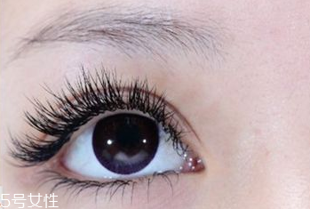 葉黃素什么時(shí)候吃最好？