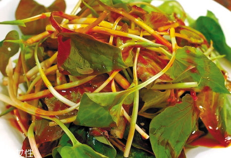 魚腥草是熱性還是涼性 性微寒味苦 魚腥草是熱性還是涼性 性微寒味苦