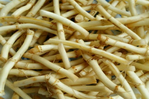 魚腥草發(fā)霉了還能吃嗎 不能繼續(xù)食用 魚腥草發(fā)霉了還能吃嗎 不能繼續(xù)食用