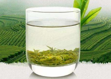 毛尖什么時(shí)候喝最好 飯后一小時(shí) 毛尖什么時(shí)候喝最好 飯后一小時(shí)