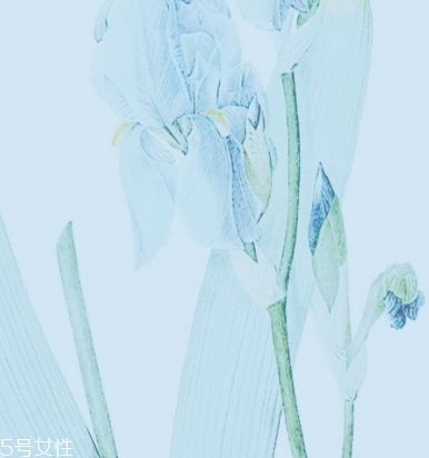 yavanna瑞士漾蘭是什么牌子？哪國的