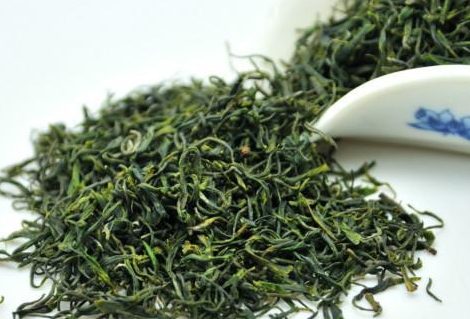 毛尖為什么有毛毛 茶樹嫩梢上面的茶毫 毛尖為什么有毛毛 茶樹嫩梢上面的茶毫