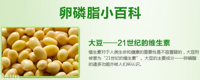 卵磷脂什么時(shí)候吃最好？早晚飯前最佳