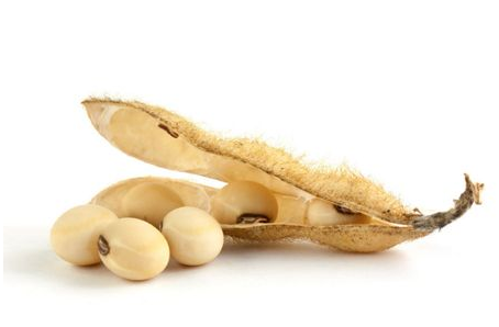 卵磷脂青少年可以吃嗎？吃了益處多