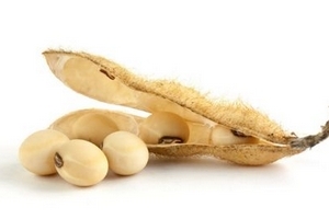 卵磷脂晚上吃可以嗎？最好是晚飯前