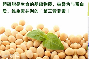 卵磷脂和深海魚(yú)油搭配吃的好處 怎么吃才正確