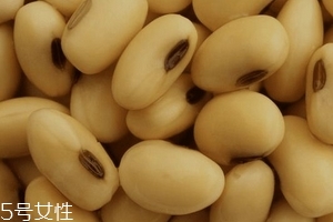 卵磷脂通乳嗎？這個(gè)還不一定