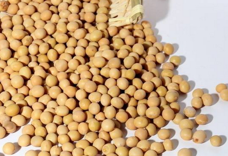 卵磷脂孕婦能吃嗎？適當(dāng)吃有益身體