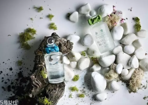 水生調(diào)香水有幾種？這三款香水讓你迷死人
