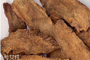 肉蓯蓉是涼性還是熱性 性質(zhì)溫和的補(bǔ)腎陽(yáng) 肉蓯蓉是涼性還是熱性 性質(zhì)溫和的補(bǔ)腎陽(yáng)