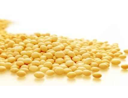 卵磷脂可以單獨吃嗎？