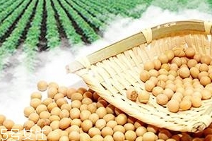 卵磷脂能和鈣一起吃嗎？分開(kāi)服用為佳