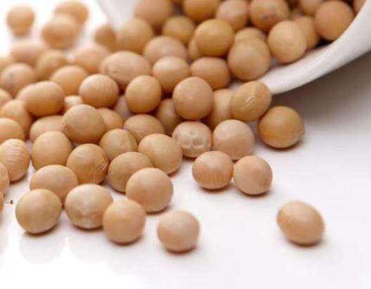 卵磷脂能和鈣一起吃嗎？分開(kāi)服用為佳